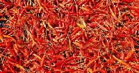 Manufacturers Exporters and Wholesale Suppliers of Dry Red Chilli Hanumangarh Jn. Rajasthan